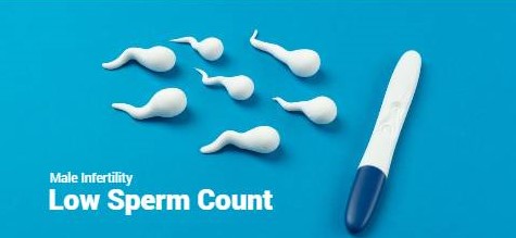 Low Sperm Count
